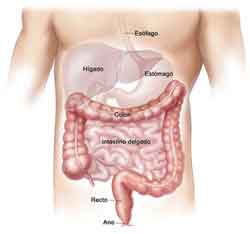 Gli strumenti diagnostici del gastroenterologo