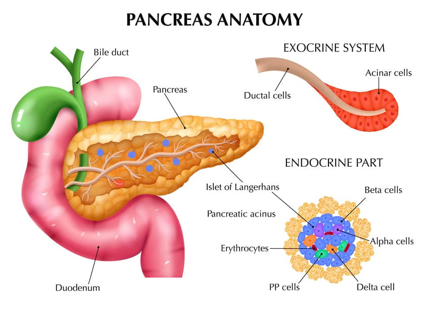 pancreatite